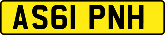 AS61PNH