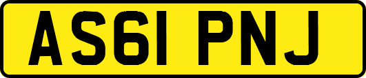 AS61PNJ