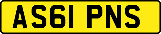AS61PNS