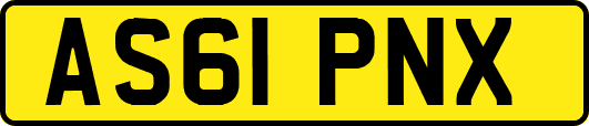 AS61PNX