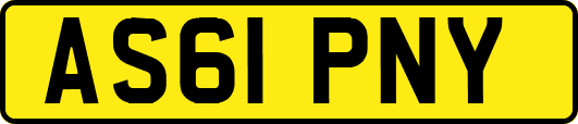 AS61PNY