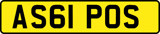 AS61POS
