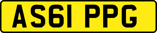AS61PPG