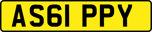 AS61PPY