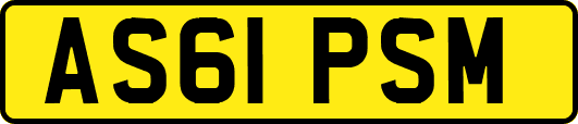 AS61PSM
