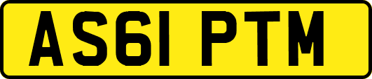 AS61PTM