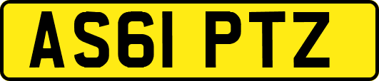 AS61PTZ
