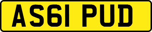 AS61PUD