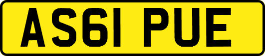 AS61PUE