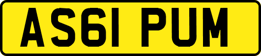 AS61PUM