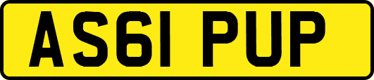AS61PUP