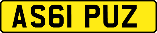 AS61PUZ