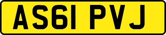 AS61PVJ