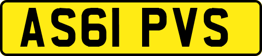 AS61PVS