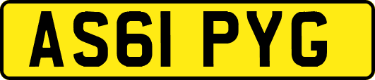 AS61PYG