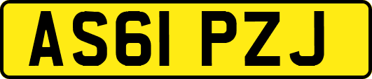AS61PZJ