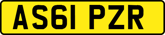 AS61PZR