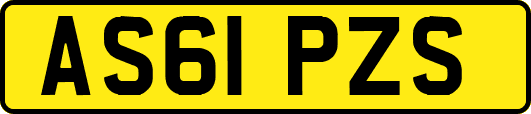 AS61PZS