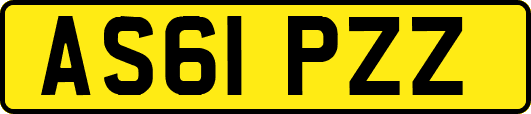 AS61PZZ