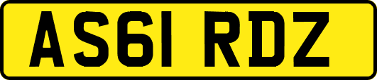 AS61RDZ