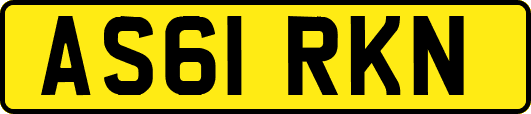 AS61RKN