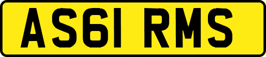 AS61RMS