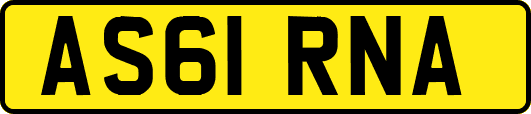 AS61RNA