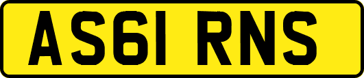 AS61RNS