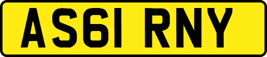 AS61RNY