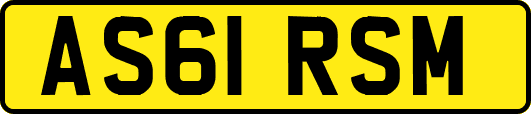 AS61RSM