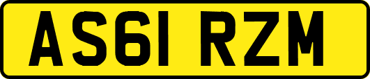 AS61RZM