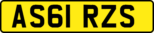 AS61RZS