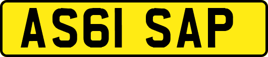 AS61SAP