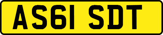AS61SDT