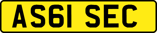 AS61SEC