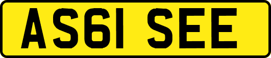 AS61SEE