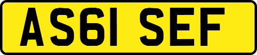 AS61SEF