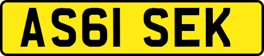 AS61SEK