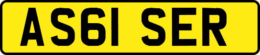 AS61SER