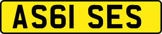AS61SES