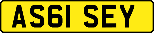 AS61SEY