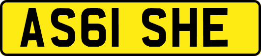 AS61SHE