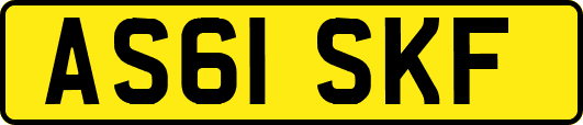 AS61SKF