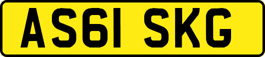AS61SKG