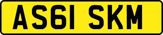 AS61SKM