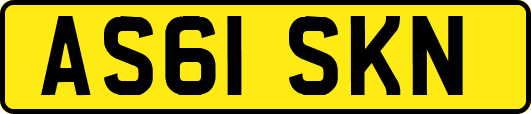 AS61SKN
