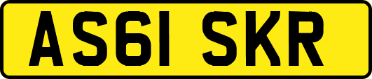 AS61SKR