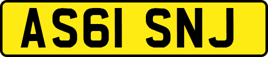 AS61SNJ
