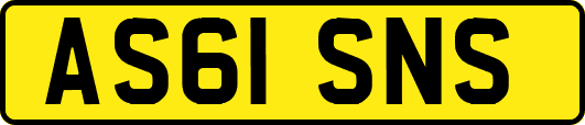 AS61SNS