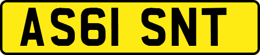 AS61SNT